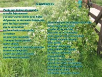 /album/fotogaleria/a11018637-1396212224031169-628654030113097869-n-jpg/